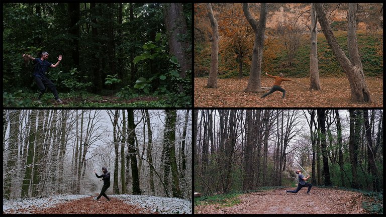 4 seasons of Tai Chi.jpg