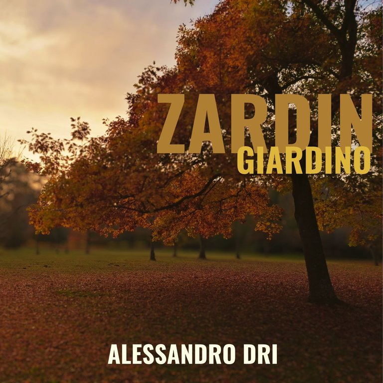 ZardinCopertina.jpg