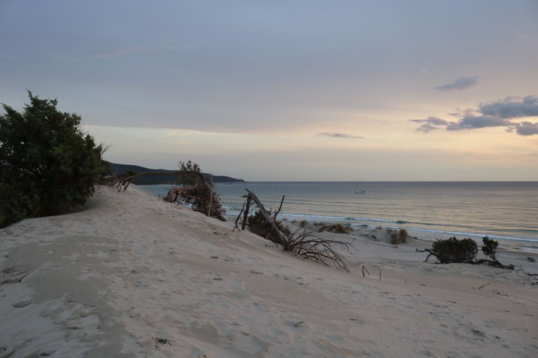 IMG_1873.JPG