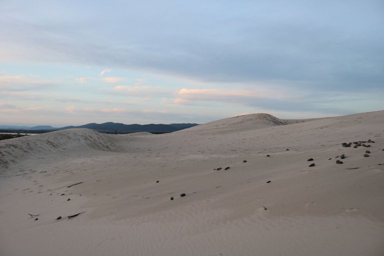 IMG_1874.JPG
