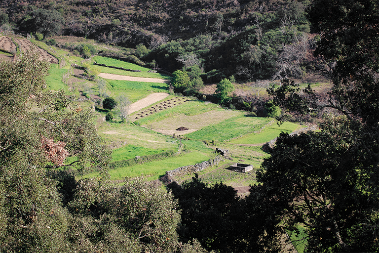 IMG_8818.png