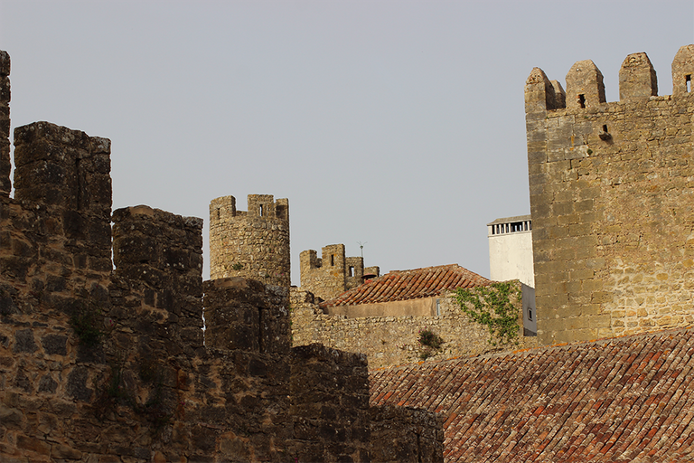 IMG_8737.png