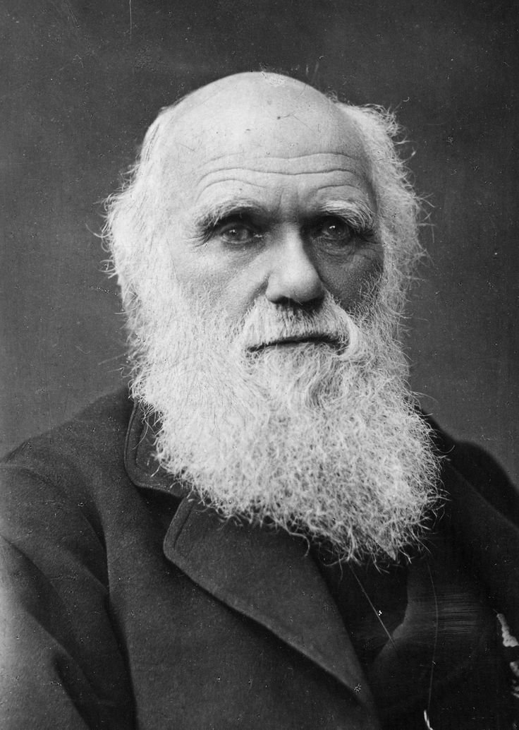 Charles Darwin.jpeg