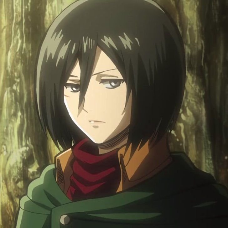 mikasa.jpg