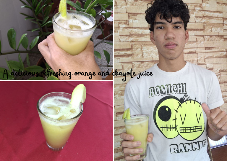 A delicious refreshing orange and chayote juice.png