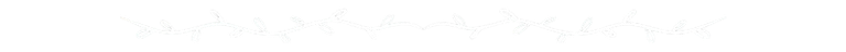 Separador de texto