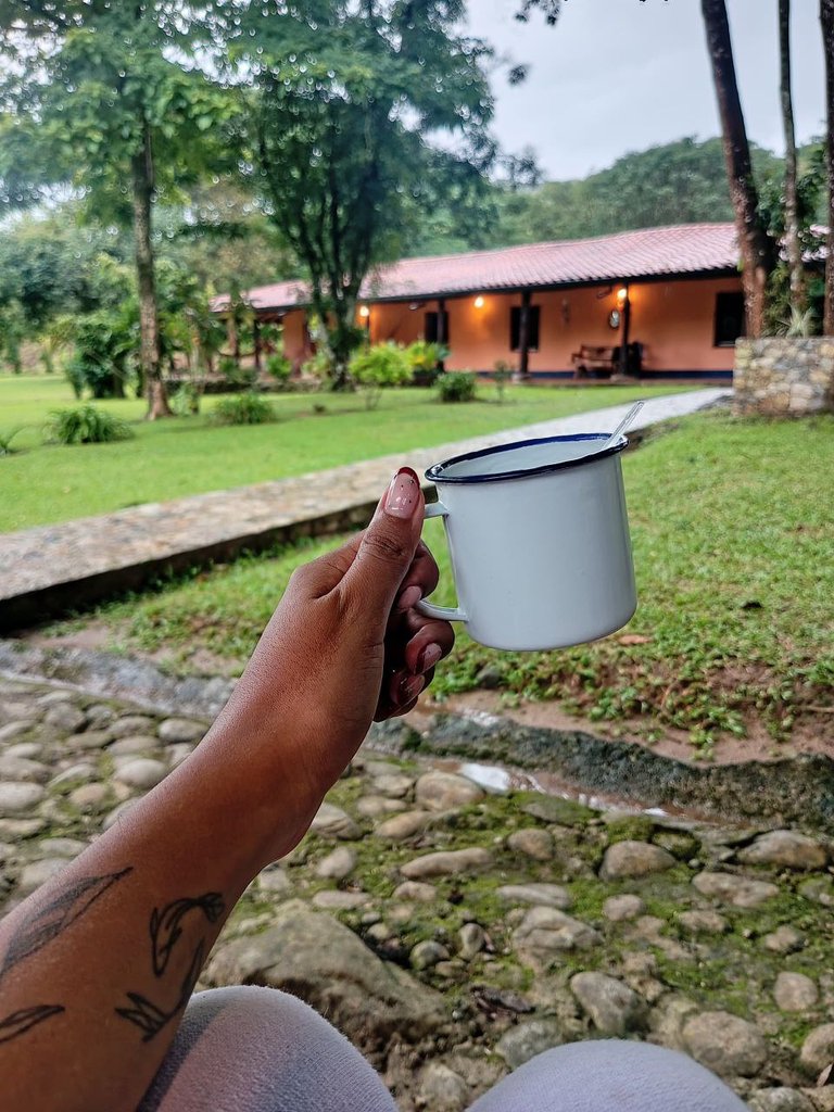 cafe