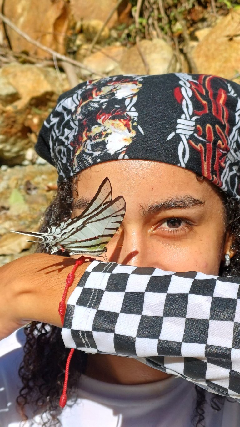 Foto mariposa