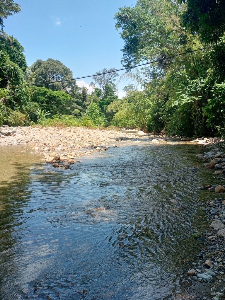 rio
