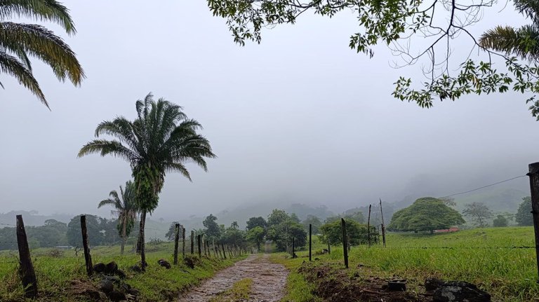 paisaje