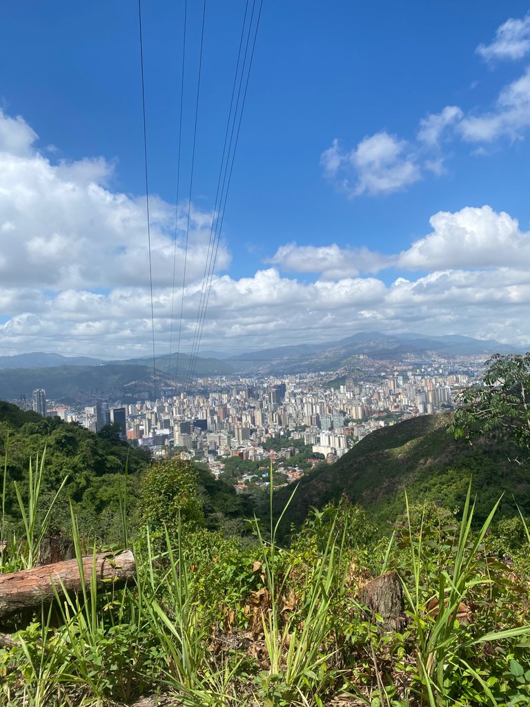 IMG_4218.jpeg