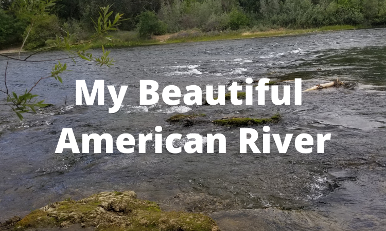 My Beautiful American River.png