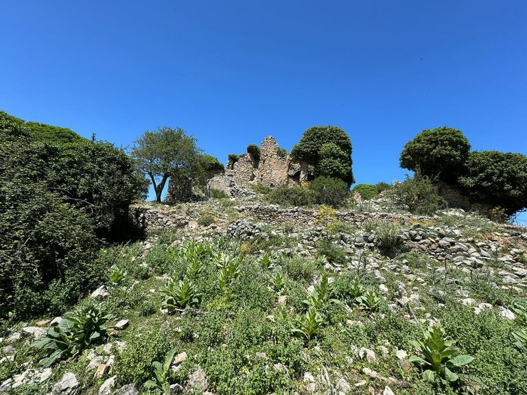 lipari_giovanni-may-14-2024 (2).jpeg