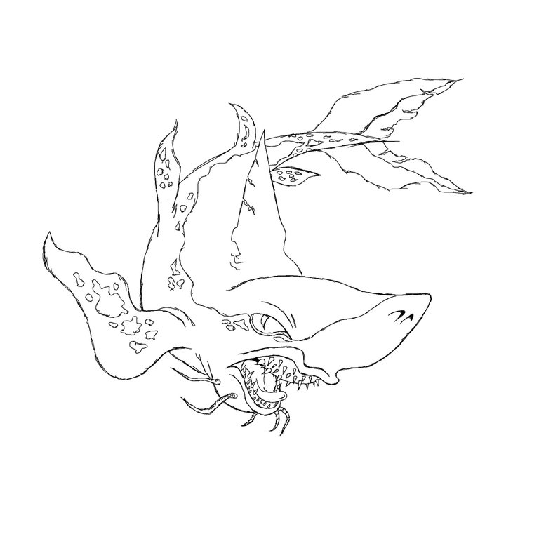Shark5.jpg