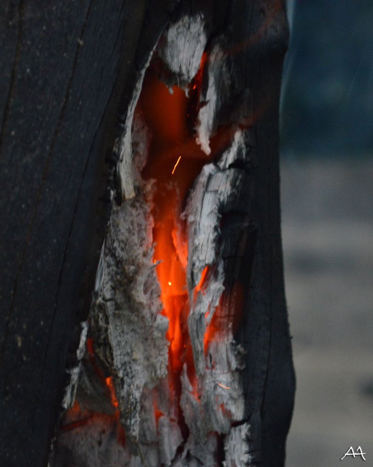 Fire8.jpg