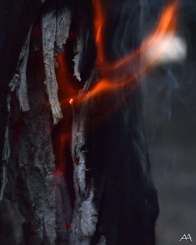 Fire3.jpg