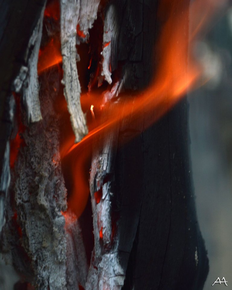 Fire2.jpg