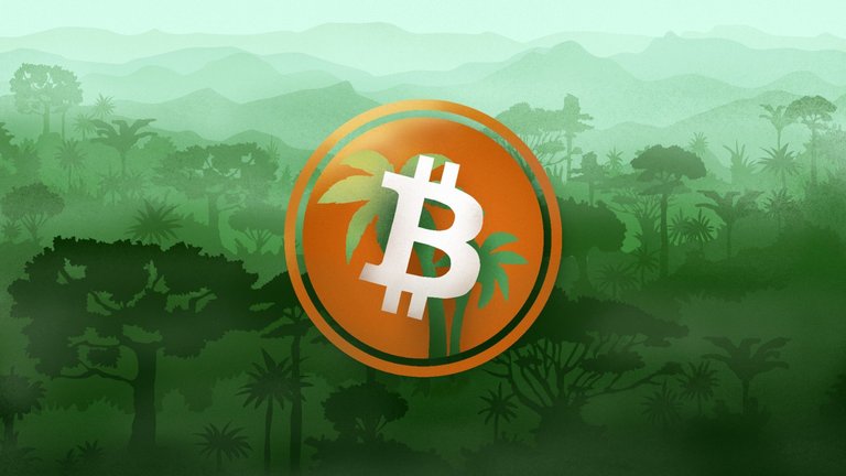 Bitcoin Jungle Costa Rica.jpg