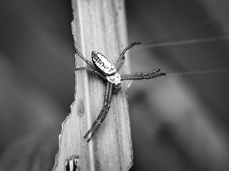 IMG_20220806_165300.jpg