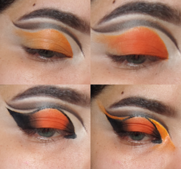 collage1.png