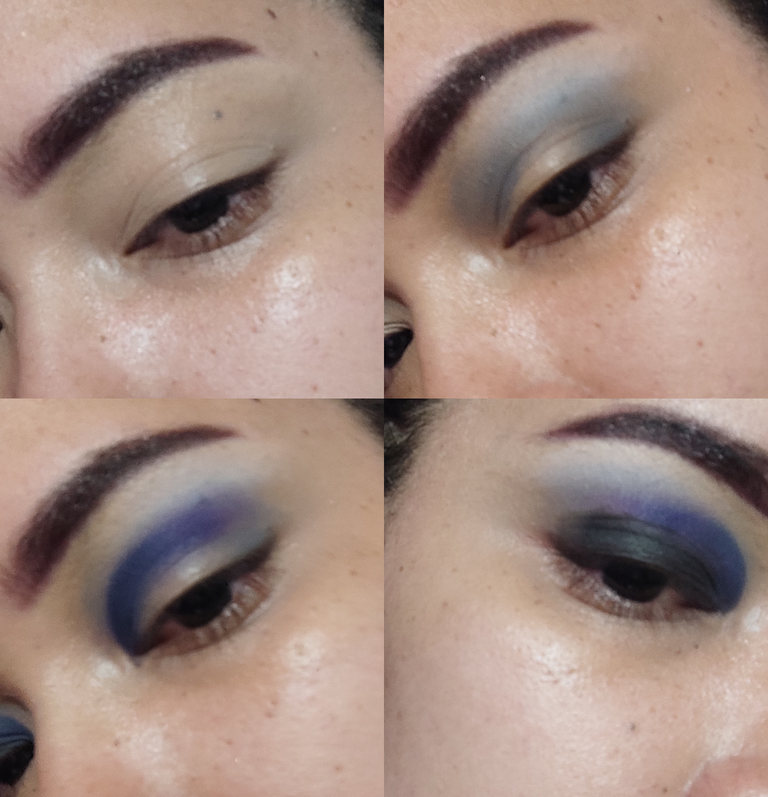 collage.png