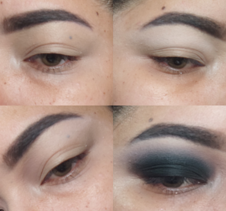 collage.png