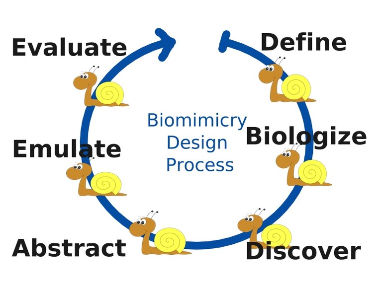 spiral biomimicry.jpg