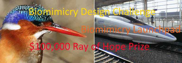 Biomimicry_logo_with_text.png