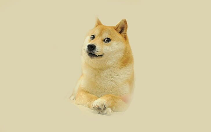 dogecoin.jpg