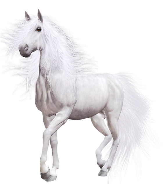 White_Horse_PNG_Clip_Art-1431.png