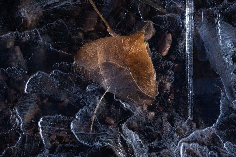 Alfredo Mora Photography Ice Patterns-2.jpg