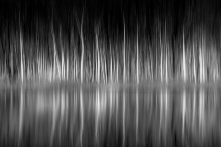 Alfredo Mora Photography ICM-12.jpg