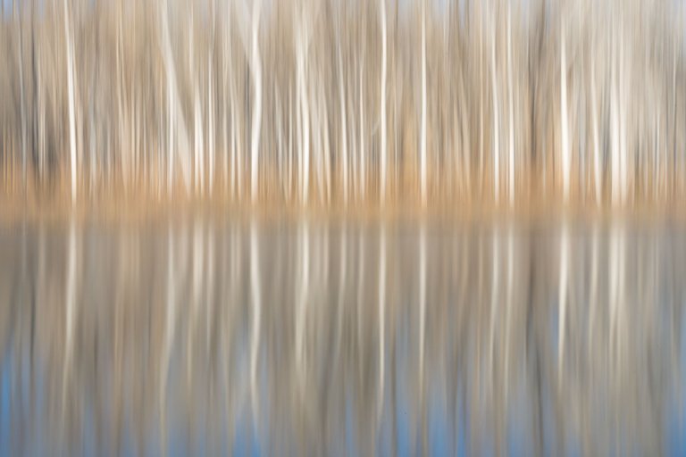 Alfredo Mora Photography ICM-13.jpg