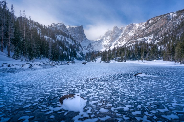 Alfredo Mora Photography RMNP Wild Adventure-9.jpg