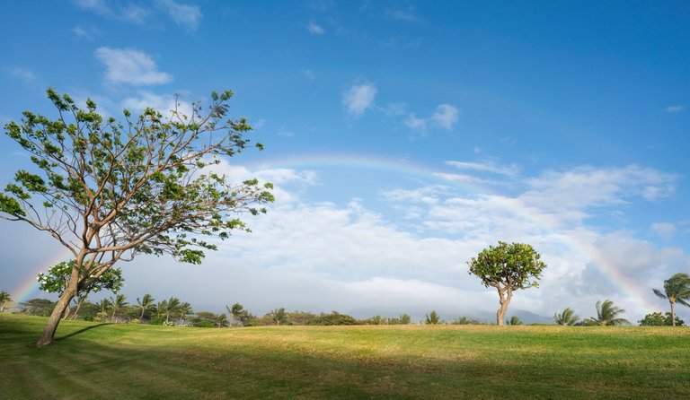 Alfredo Mora Photography PeakD Maui-6.jpg