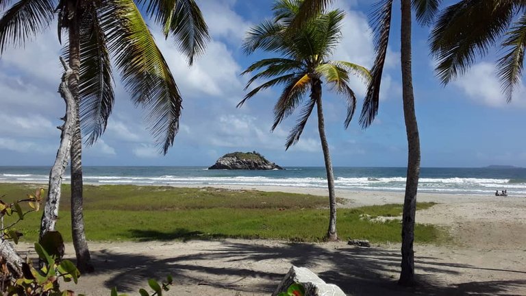 Playa el agua.jpg