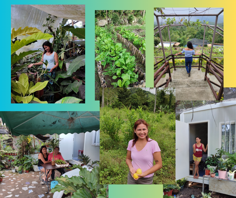 Untitled design (12).png