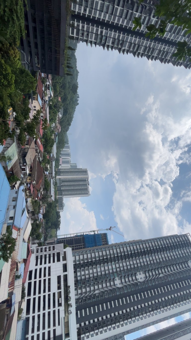 IMG_0892.jpeg