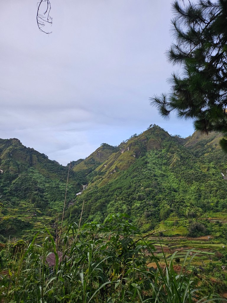 20240912_055335.jpg