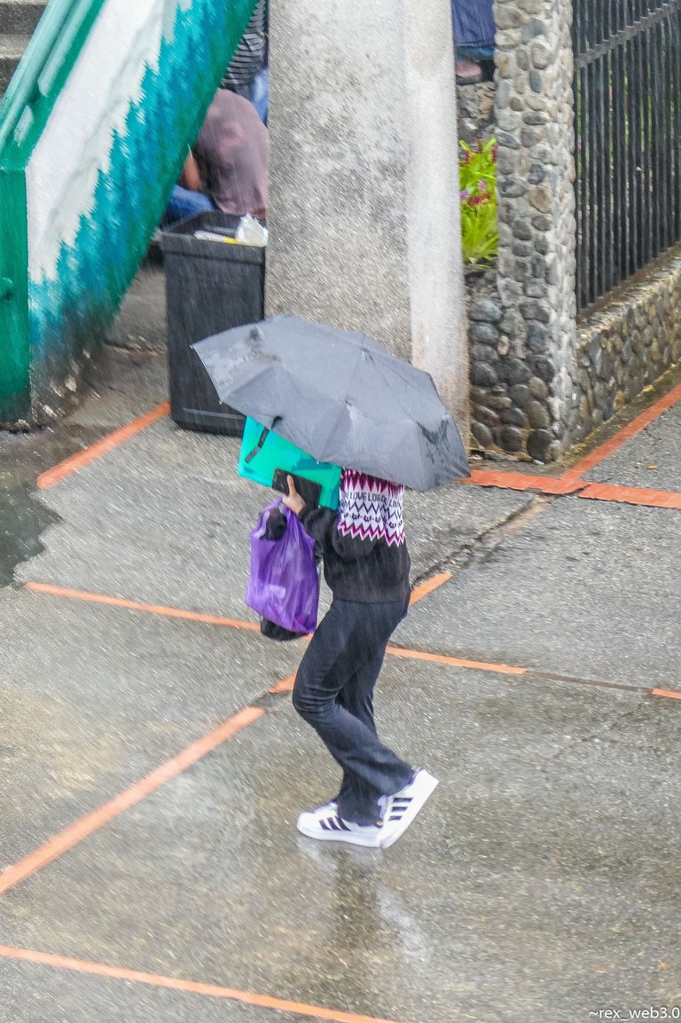 P1200840.jpg