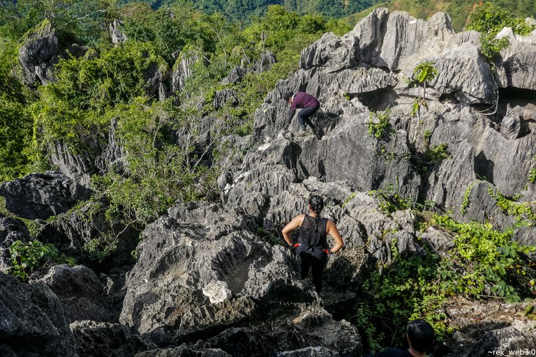 P1110436.jpg