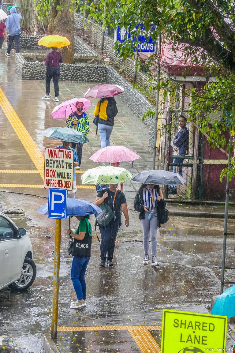 P1200817.jpg
