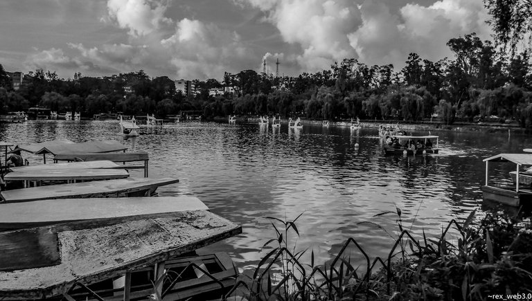 P1170043.jpg