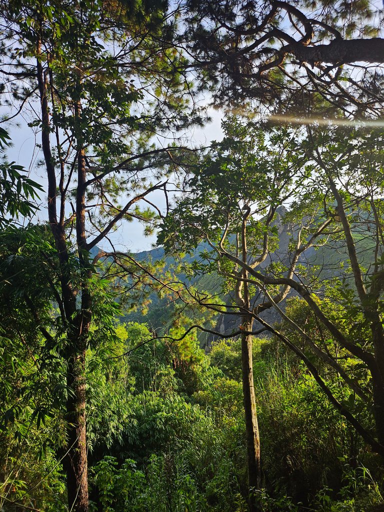 20240912_062252.jpg