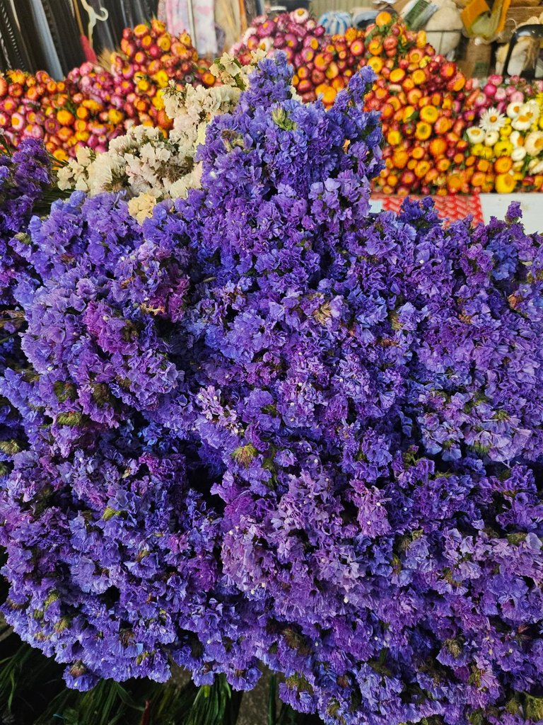 1000004755.jpg