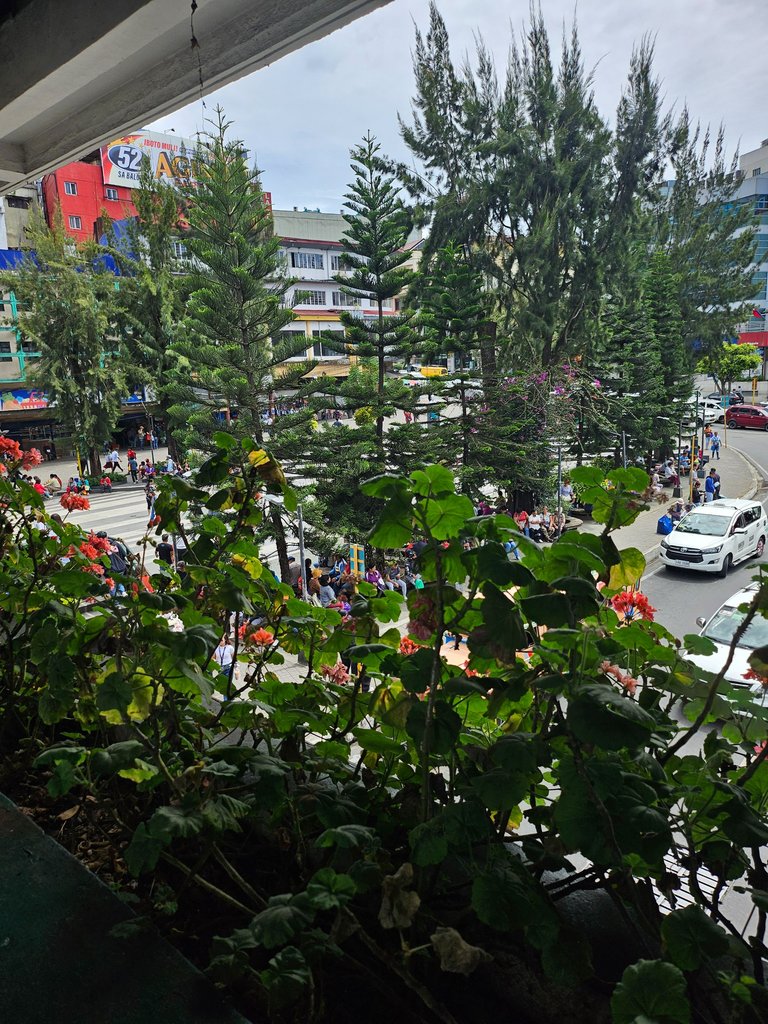 20250310_124914.jpg