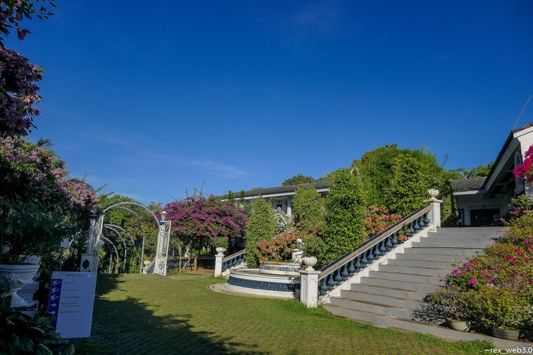 P1080736.jpg