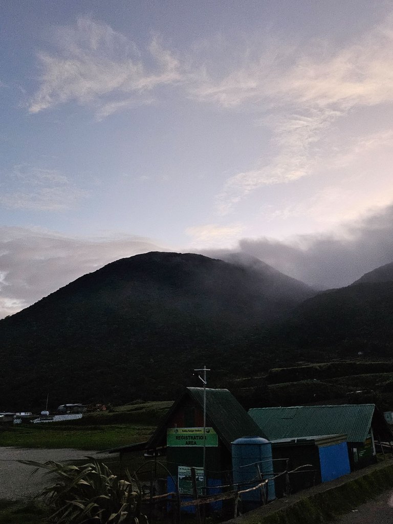 20250310_055357.jpg