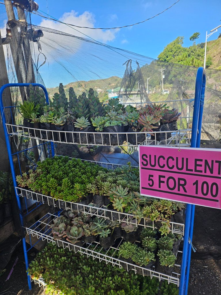 1000004741.jpg