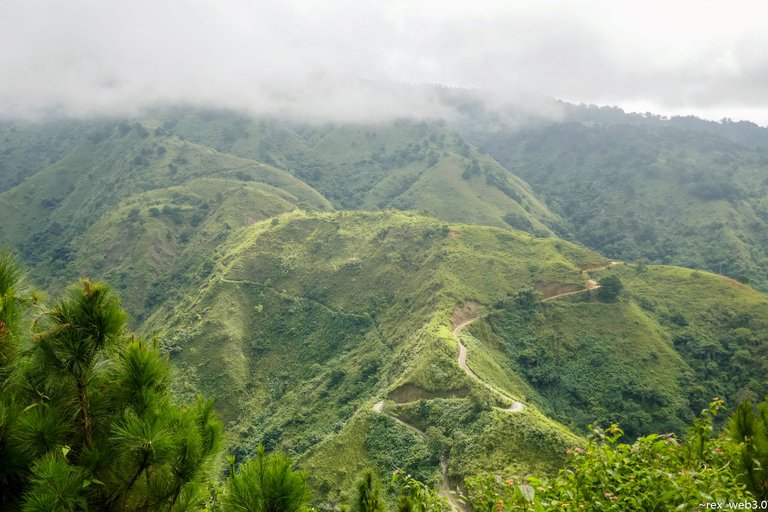 P1180100.jpg